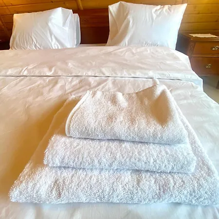 Villa Dom 90 M2 Na Wylacznosc Beskidy Dom Malarki Bielsko-Biala