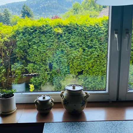 Dom 90 M2 Na Wylacznosc Beskidy Dom Malarki * Bielsko-Biala